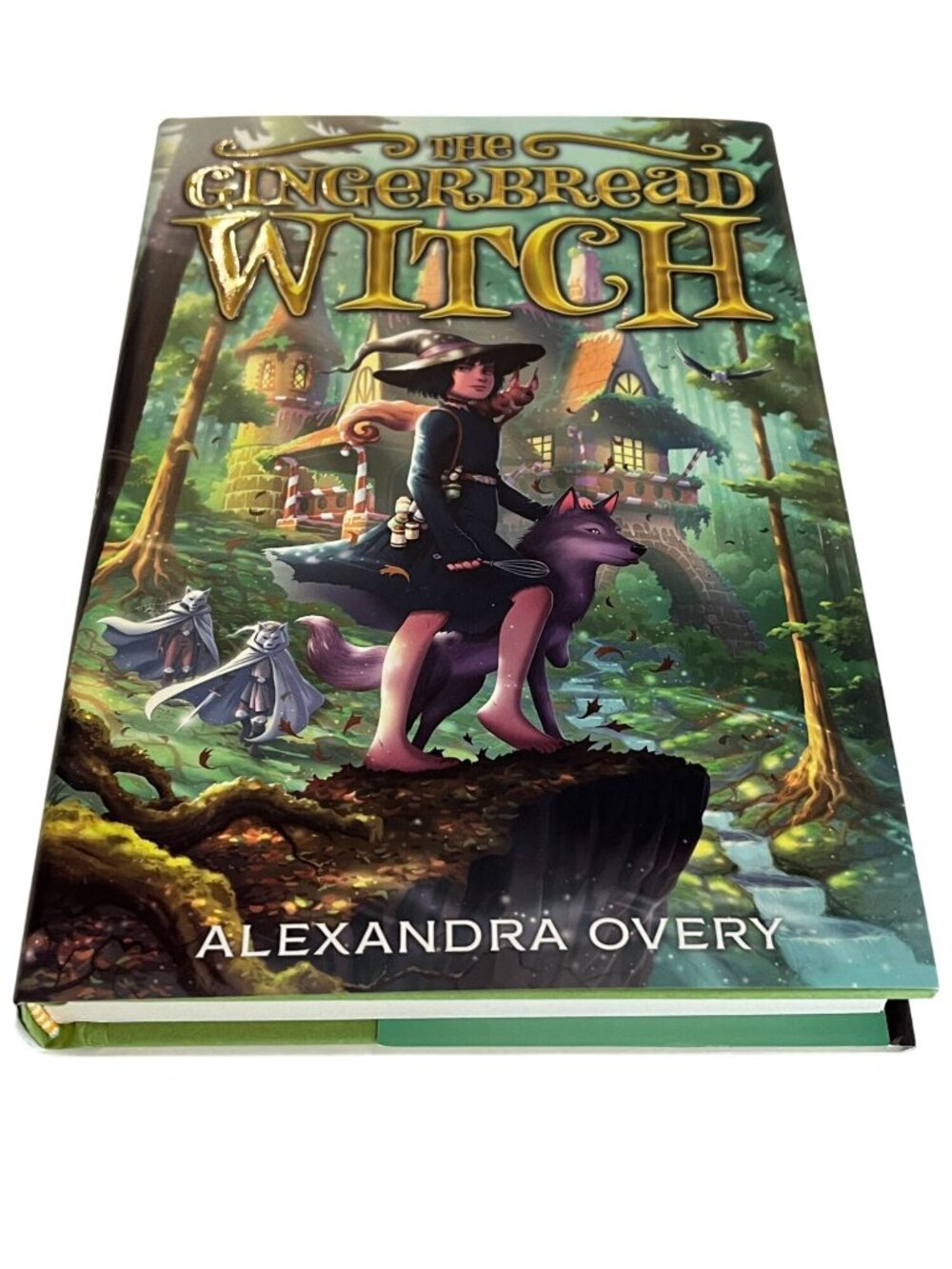 Gingerbread Witch Alexandra Overy Book Fantasy Fairy Tale Novel New Hardcover